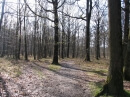 forêt de Rambouillet